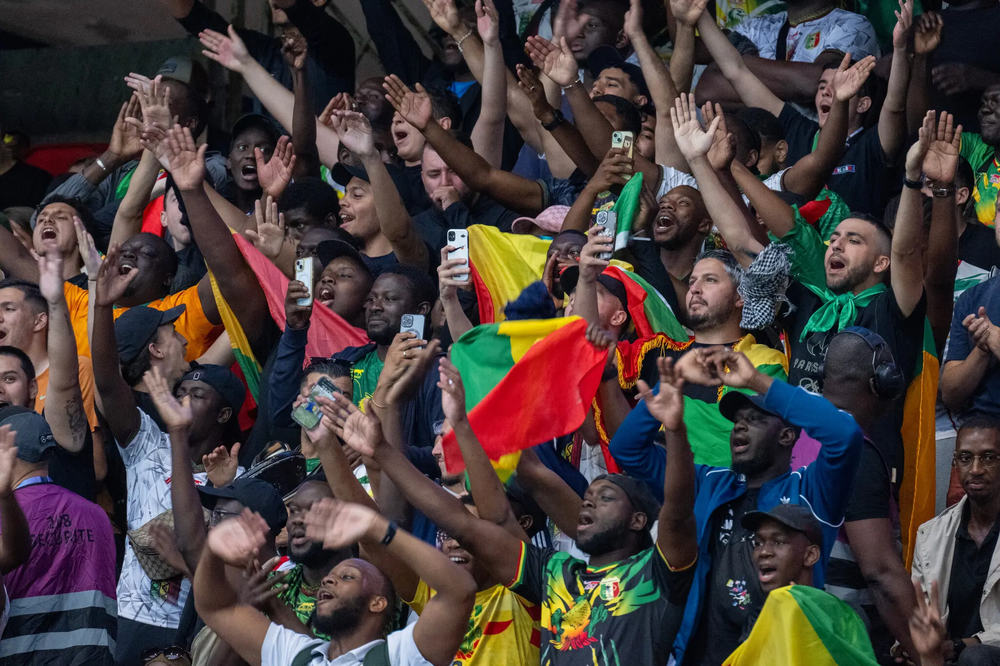 Фанати Малі під час футбольного матчу проти Ізраїлю на Парк де Пренс у середу